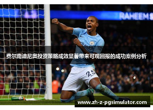 费尔南迪尼奥投资策略成效显著带来可观回报的成功案例分析