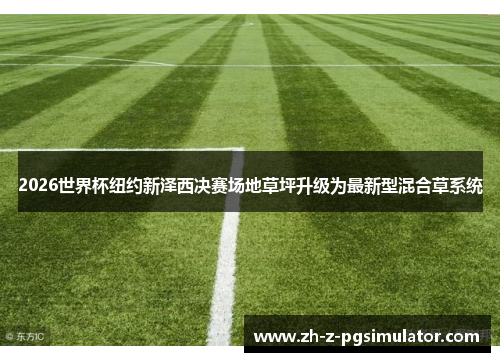 2026世界杯纽约新泽西决赛场地草坪升级为最新型混合草系统 2026世界杯纽约新泽西决赛场地草坪升级为最新型混合草系统