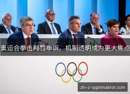 奥运会拳击判罚申诉,机制透明成为更大焦点 奥运会拳击判罚申诉,机制透明成为更大焦点
